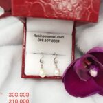 Earrings 13