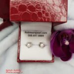 Earrings 14