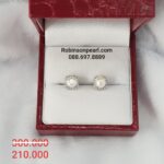 Earrings 12