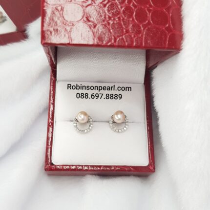 Earrings 22