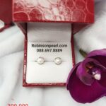 Earrings 23