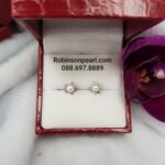 Earrings 29