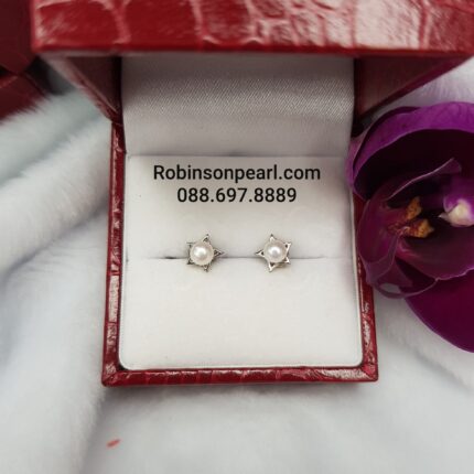 Earrings 29